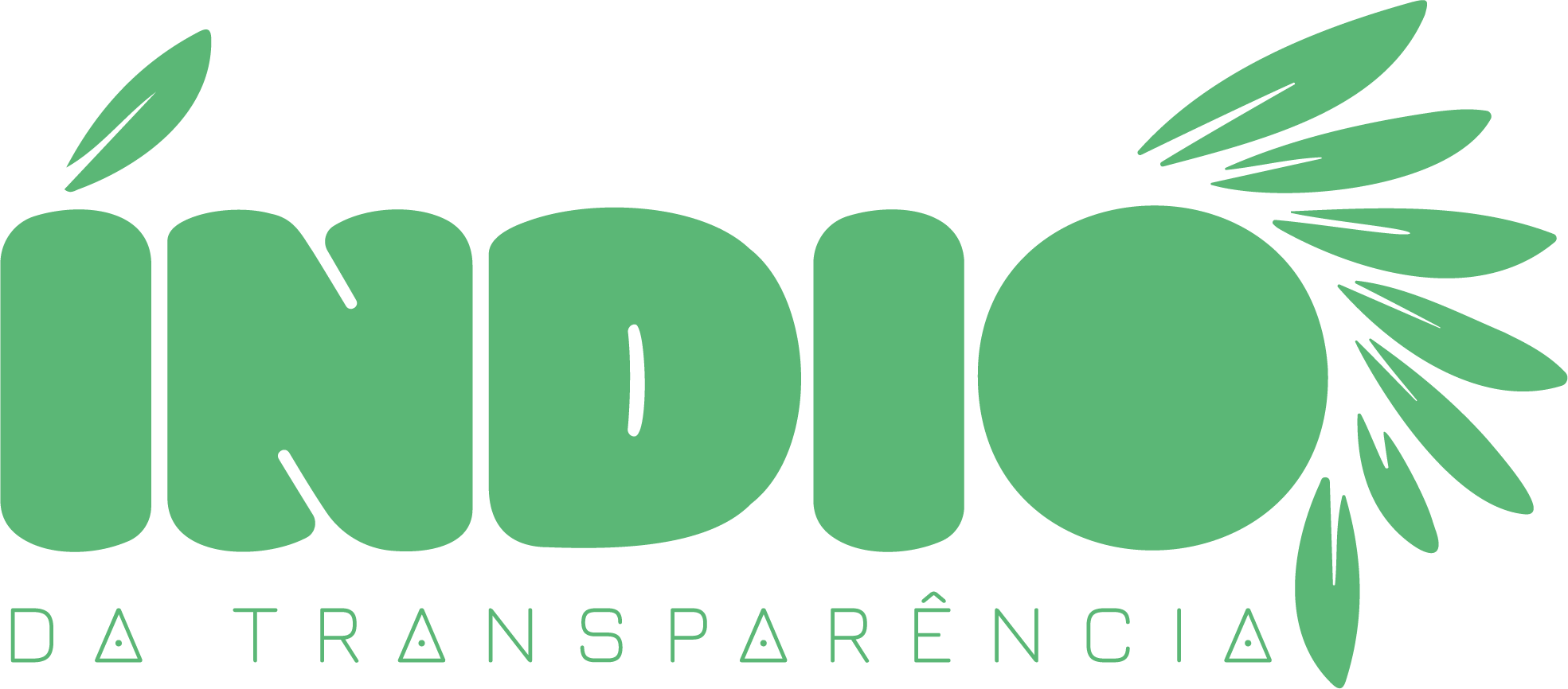 Índio da Transparência